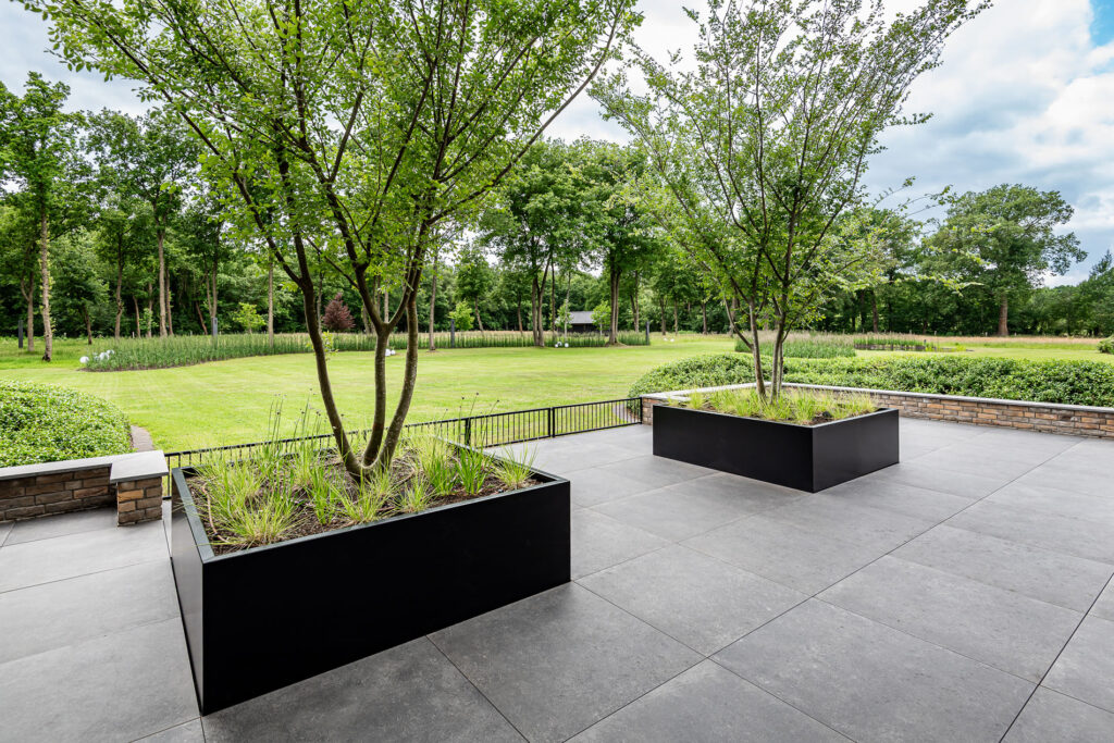 Wat vraagt een moderne villatuin van bomen?